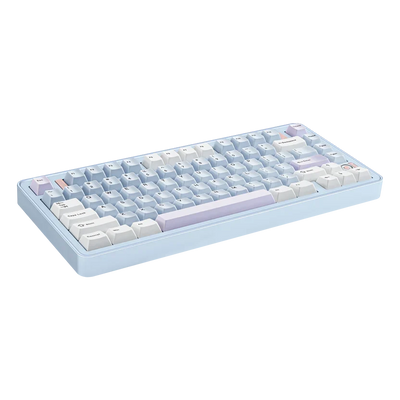Ticktype EVO75 Prebuilt 75% Wireless Mechanical Keyboard