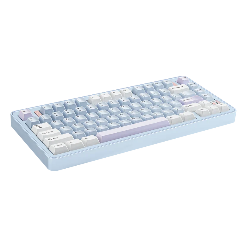 Ticktype EVO75 Prebuilt 75% Wireless Mechanical Keyboard