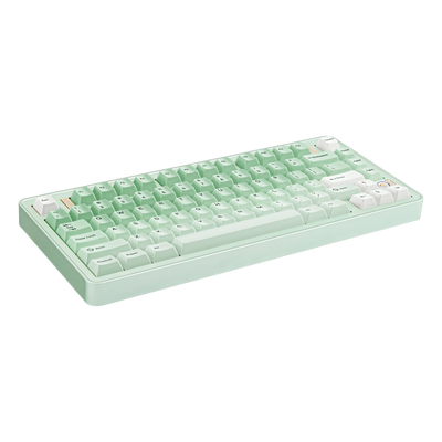 Ticktype EVO75 Prebuilt 75% Wireless Mechanical Keyboard