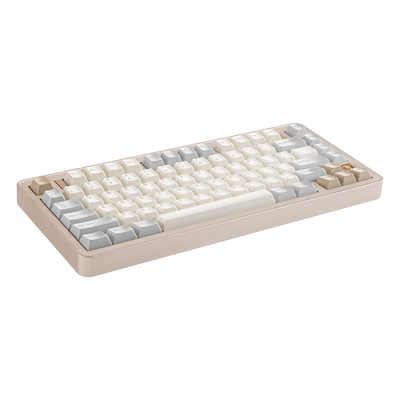 Ticktype EVO75 Prebuilt 75% Wireless Mechanical Keyboard